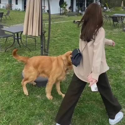 命中第一案